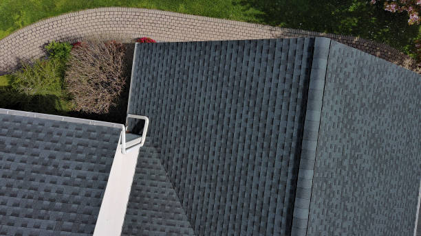 Best Skylight Installation and Repair  in Rio Grande, NJ